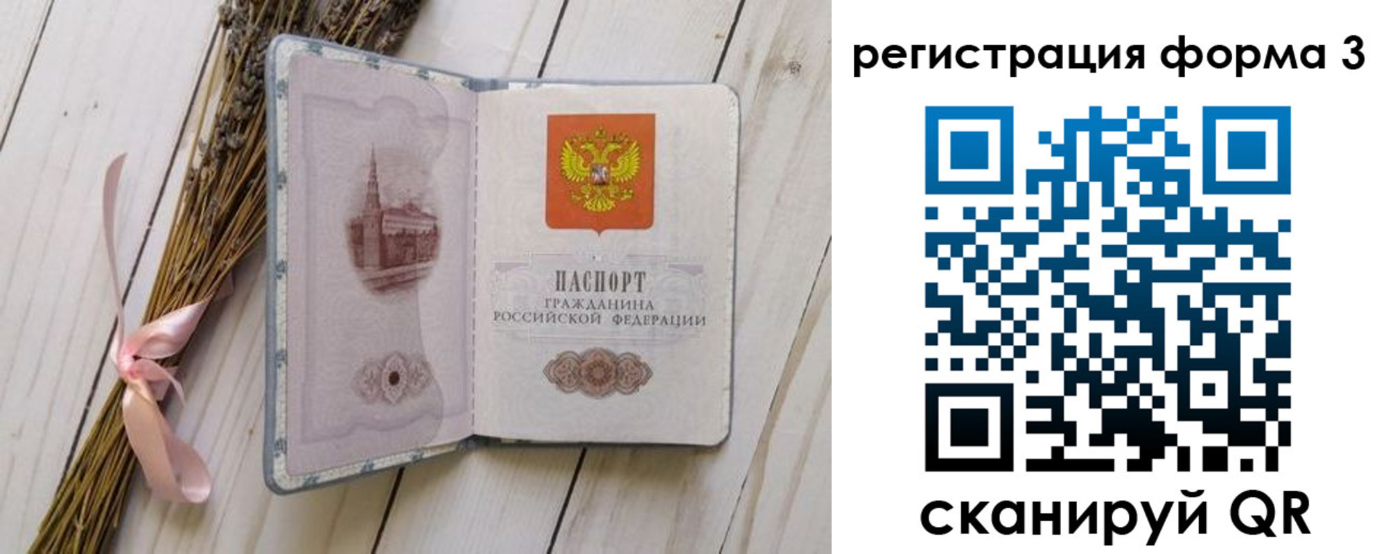 прописка поиск в Долгопрудном